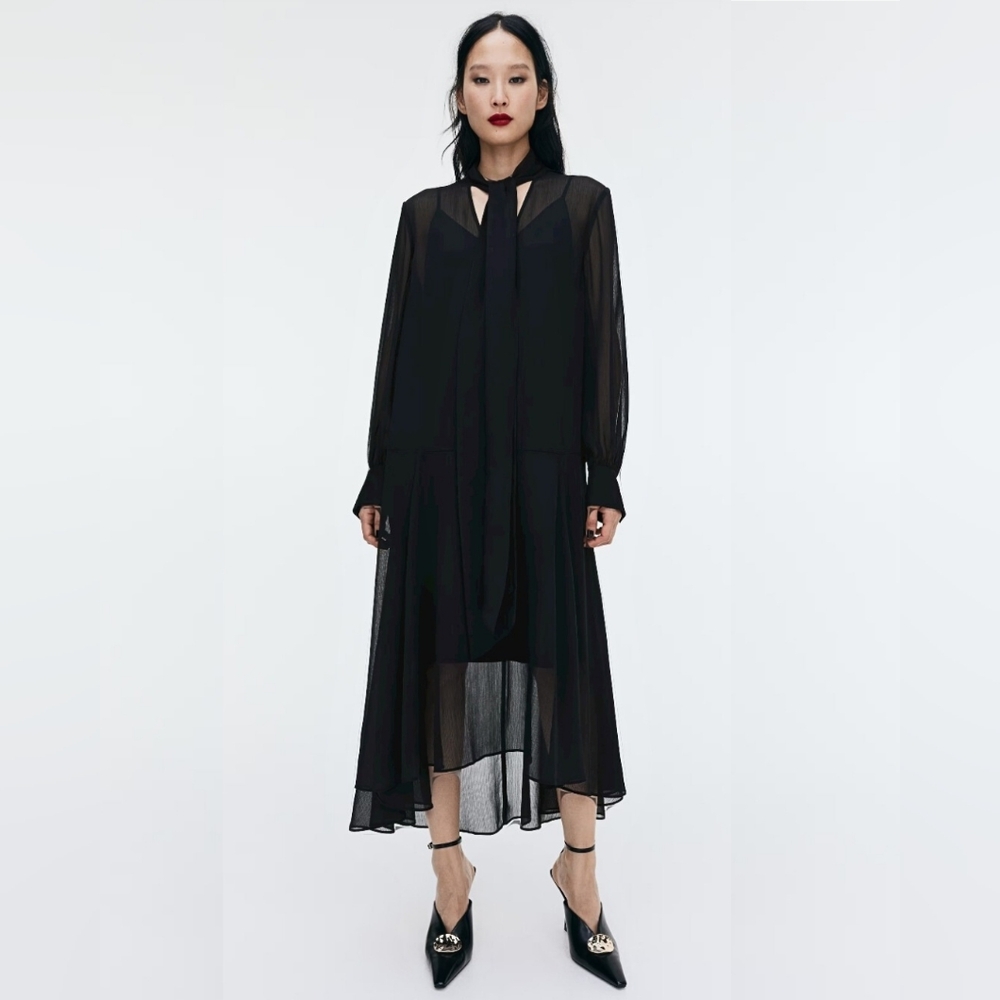 H&M Sheer Tie-Neck Dress